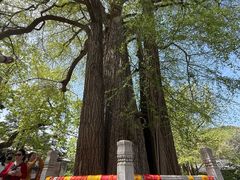 -潭柘寺景区