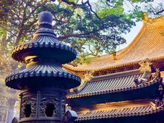 -普陀山风景名胜区-法雨禅寺