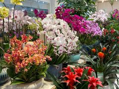 -双季花艺园艺市场(浦东店)