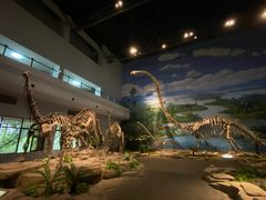 -自贡恐龙博物馆