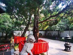 -秋霞圃
