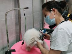 -宠福鑫康馨动物医院·骨科·眼科