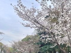 -星湖街(地铁站)