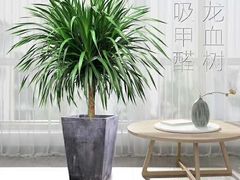 -爱尚幸福鲜花(上地实体店)