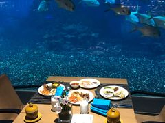 -海棠湾洲际-涛·海底餐厅·美人鱼·自助餐·海底隧道