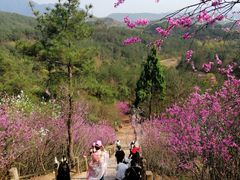 -天台山赤城山景区