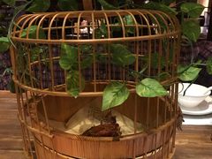 -胡桃里乐队酒馆(农科路店)