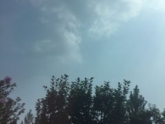 -北戴河集发农业梦想王国