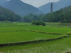 -天台山景区