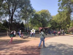 点击看大图 -酷酷兔少儿拓展天地