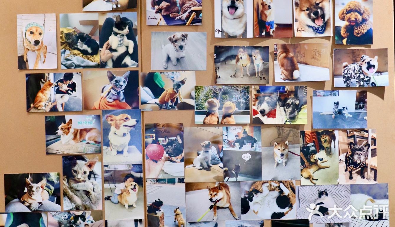 当奥利奥巧脆卷与咖啡卷在一起