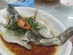 -八仔大富楼·河鲜(西江店)