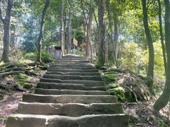 -缙云山景区