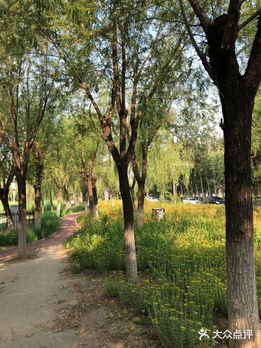 中关村生命科学园图片