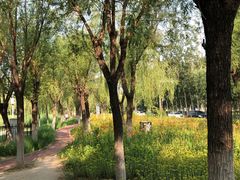 -中关村生命科学园