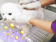 -宠颐生动物医院·小陆分院