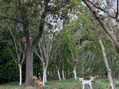 -狼山风景名胜区