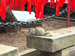 -红螺寺