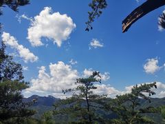 -洛阳白云山景区