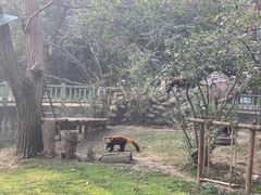 -西安秦岭野生动物园