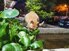 -福瑞记老孙头biangbiang面(新生路店)