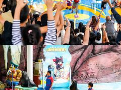 -海合安成都极地海洋公园