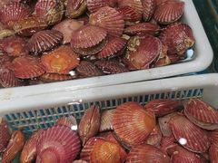 -和源祥·日照菜扛把子(万平口一店)