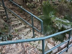 -香港大学