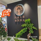 以东方茶,会世界友!