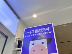 -一只酸奶牛(春熙路店)
