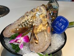 小青龙-海月轩海鲜豆捞(紫金塔店)