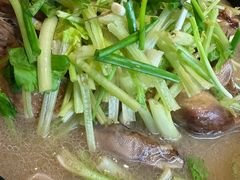 -陈江波老鸭煲(化工路店1号店)