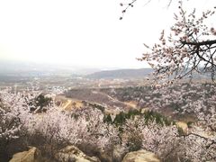 -北京凤凰岭
