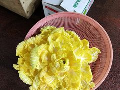 -西归浦每天偶来市场