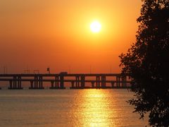 -宝安西湾红树林湿地公园