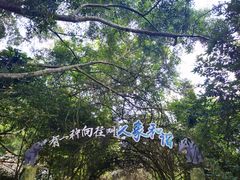 -野象谷景区
