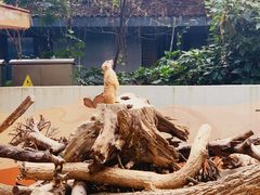 -杭州少年儿童公园