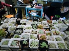 -密讯馆密室逃脱&换装侦探剧(环球港旗舰店)