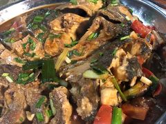 -柴火农家饭(遇龙河店)