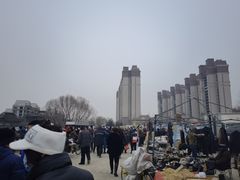 -蒲河大集