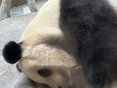 -宁波野生动物园