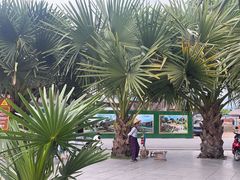 -西双版纳傣族园