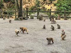 -姑婆山旅游区