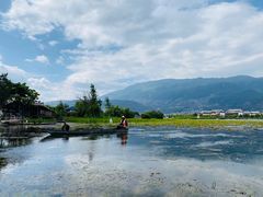 -大理洱源西湖景区
