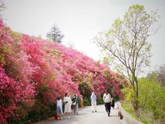 -木兰云雾山