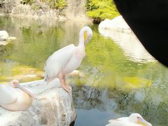 -昆明动物园