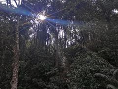 -梧桐山风景名胜区