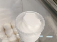 -洪馨椰子