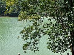 -广州白江湖森林公园