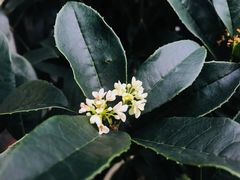 -悦和庄餐厅(迎宾北路店)